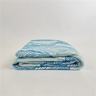 Pwòp tèt ou refwadisman dra